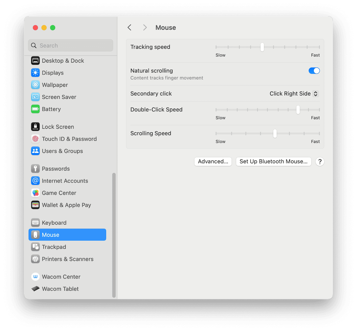 How to turn off mouse acceleration on Mac step by step